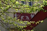 ΔΗΜΟΣΙΑ ΥΠΟΣΤΗΡΙΞΗ ΜΔΕ ΚΑΣ ΒΑΣ. ΠΟΥΛΑ